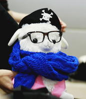 xMishi
