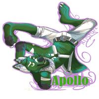 ApolloHusky
