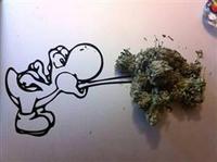 Zoshi420