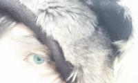 WinterHart
