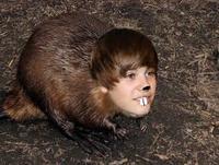 JustinBeaver