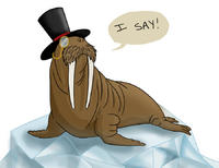 Thecheesywalrus