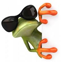 Im Skiller