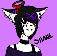 ShaneFallen