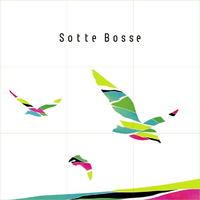 Sotte Bosse