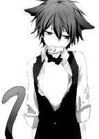 MrNeko