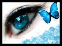 oceanecoeur