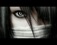 bushido113