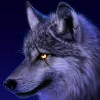 Wolf_Man_20