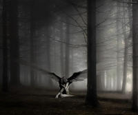BloodPhoenix23747