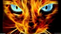 GhostTheCat