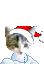 Rigzy's Avatar
