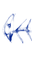 FishBone