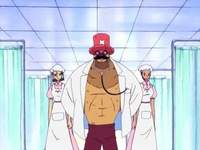 Legit Doctor