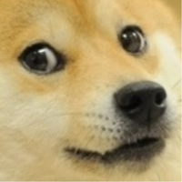 Doge