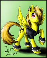 Daybreak Poni