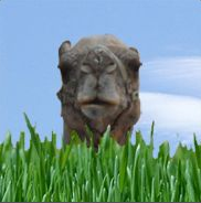 JzanThePuss