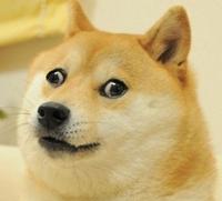 SexyDogeButts
