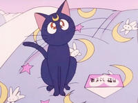 sailorm00n