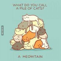 Fallen.kaede's Avatar