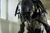 the xenomorph king
