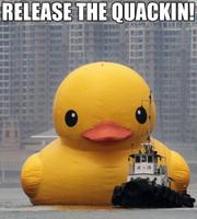 Mr.QuackBosley
