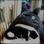 az0te