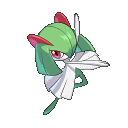 GrooseRunner
