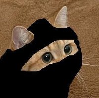 Phrostyb