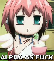 Ikaros-