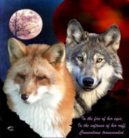 Foxchild16