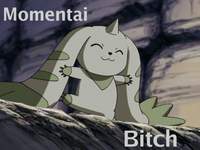 FeedMeHam