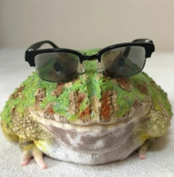 PhilGh3
