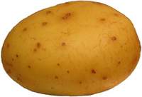 PotatoPancakes2