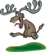 Moose_Matters