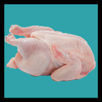 TWG Chicken