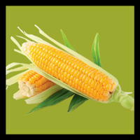 TWG Corn