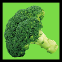 TWG Broccoli