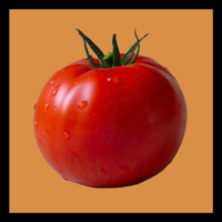 TWG Tomato