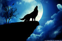 shadow_dog