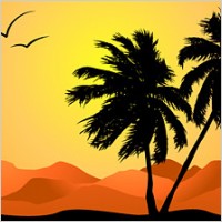 Palm_Tree's Avatar