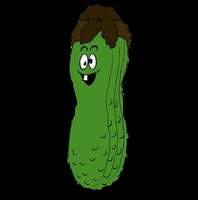 Shit Pickle