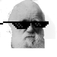 LeviPEagan