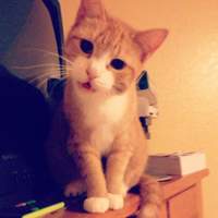 Jeyson