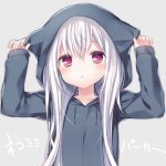 Hydrophobias