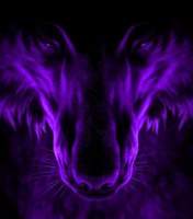 purplewolf