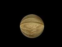 FlipYourCoin