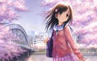 bluelily