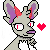 small puppy