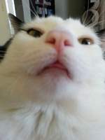 IILUCKEYII's Avatar